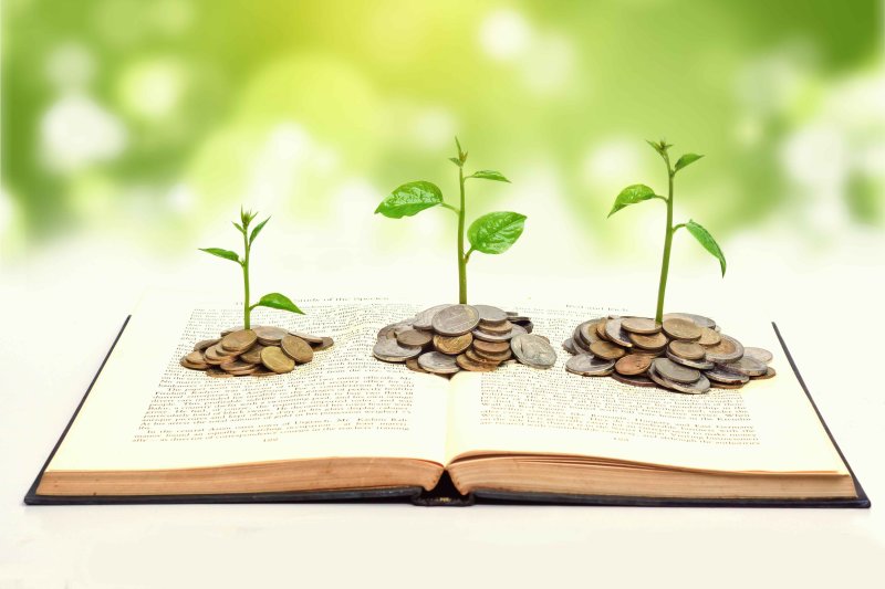 Картинки по финансовой грамотности