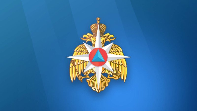 Большая эмблема МЧС России