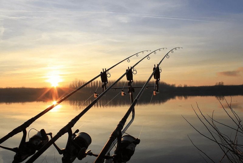 Лето рыбалка