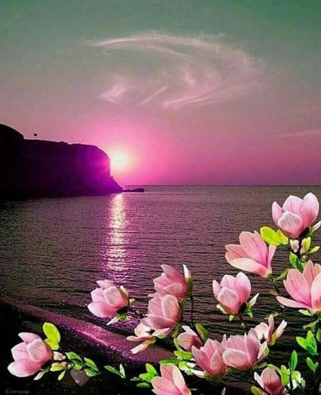 Открытки с природой