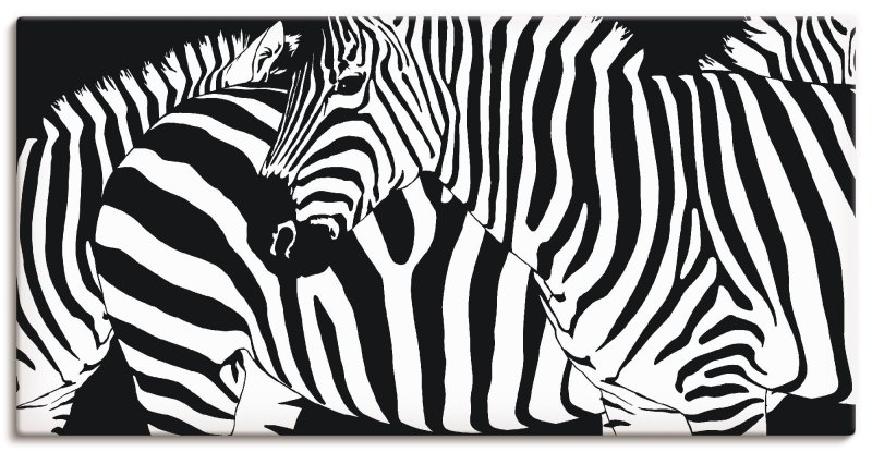 Зебра в клеточку