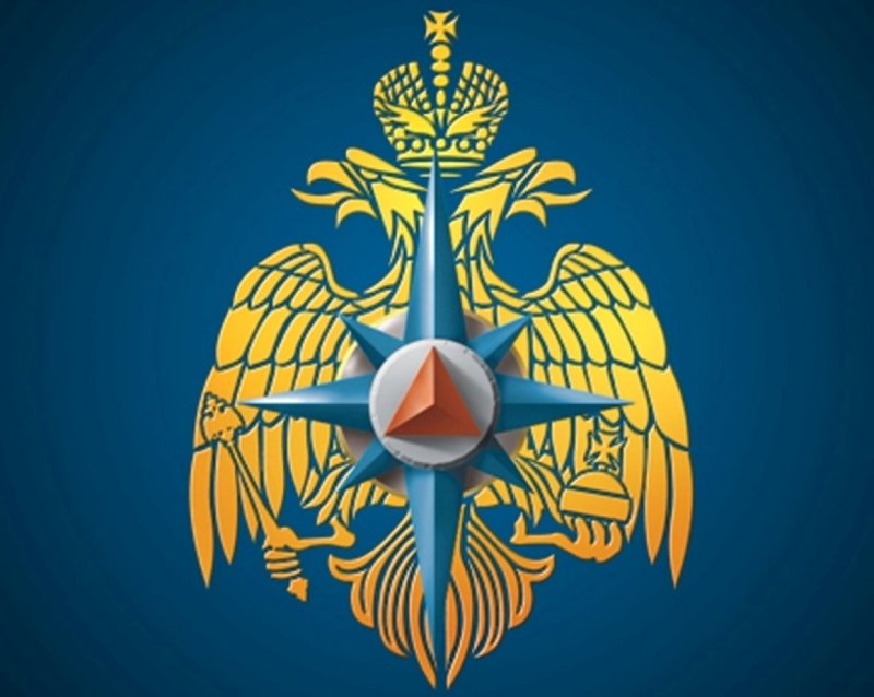 Большая эмблема МЧС России