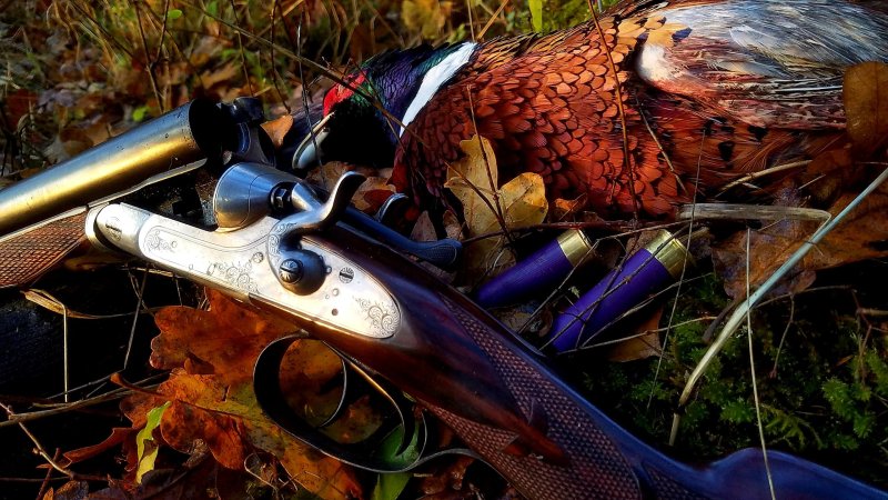 Охотничьи ружья на охоте