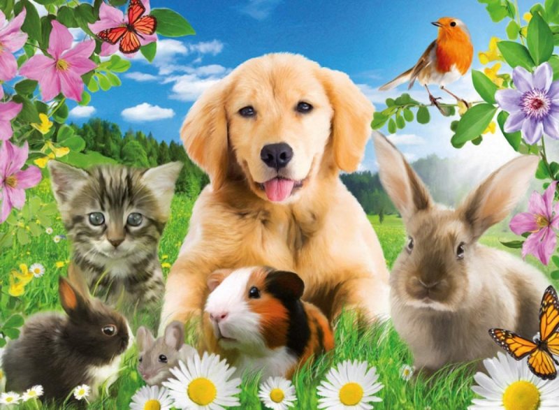 Фон для домашних животных