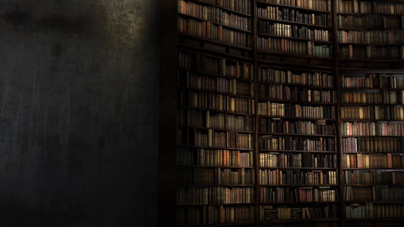 Библиотека фон