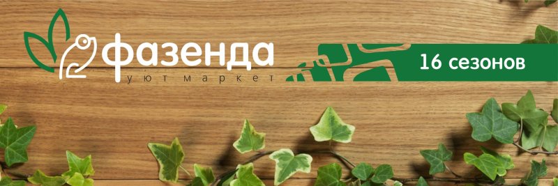 Фазенда Сыктывкар