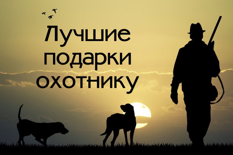 Охотник с собакой силуэт