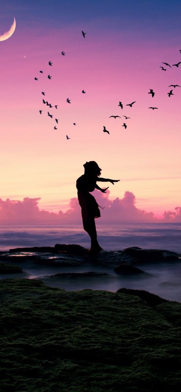 Красивый закат с силуэтом