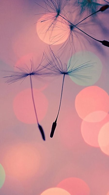 Интересные обои на телефон