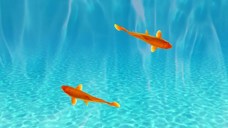 Игра для кошек на экране рыбки