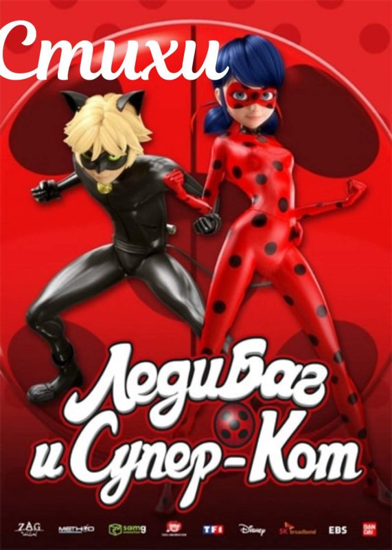 Леди баг и супер кот название
