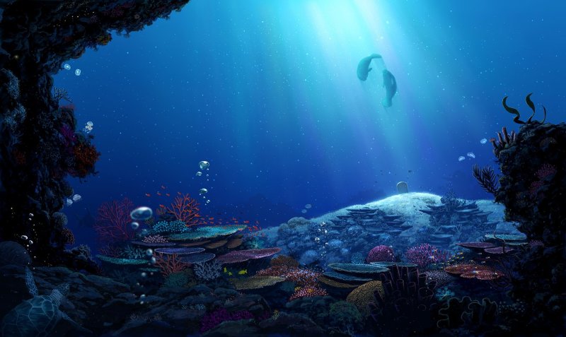 Море подводный мир