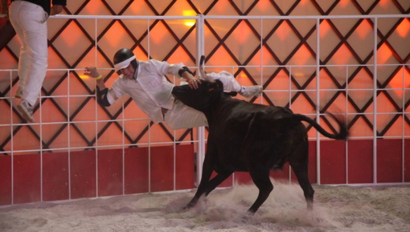 Большие гонки телепередача 1 канал