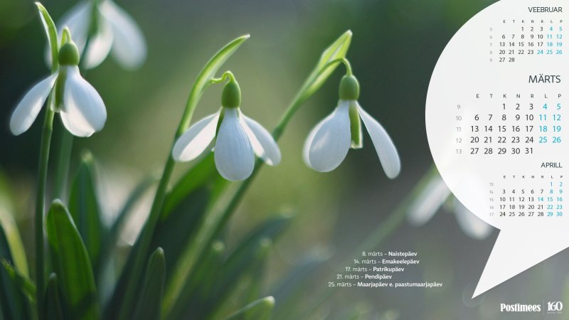 Календарь март