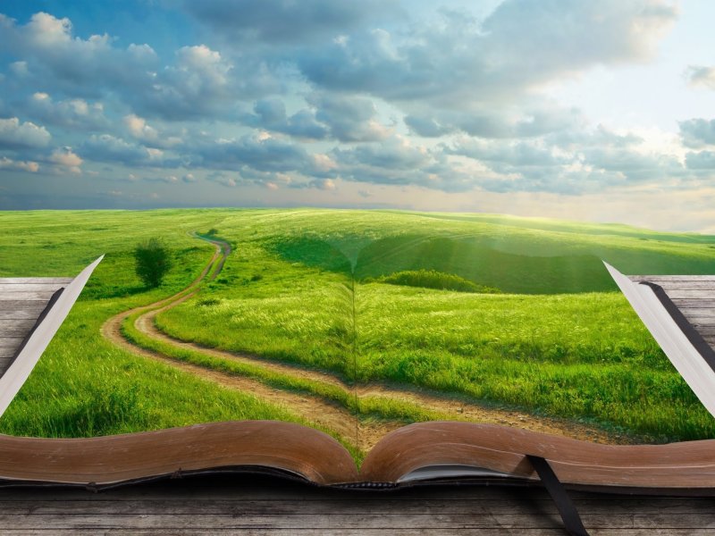 Дорога к счастью