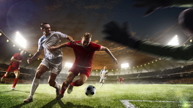 Футболисты на поле