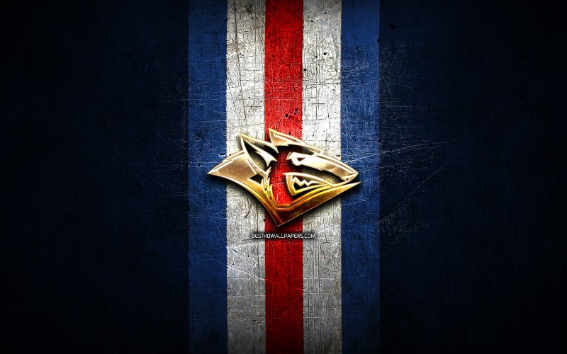 Металлург Магнитогорск эмблема