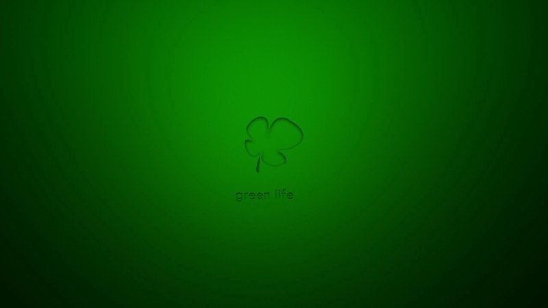 Темно зеленые обои