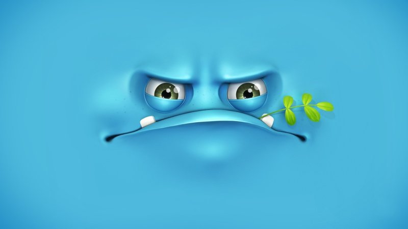 Веселые картинки на рабочий стол