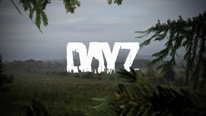 DAYZ атмосфера фарм