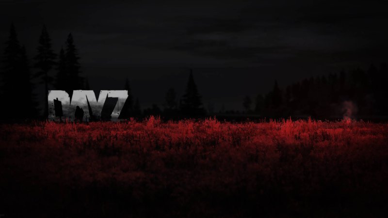 DAYZ шапка