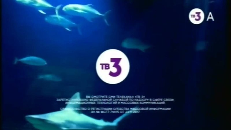 Логотип регион ТВ Новосибирск