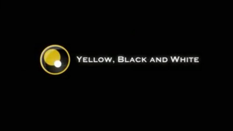 Студия Yellow Black and White