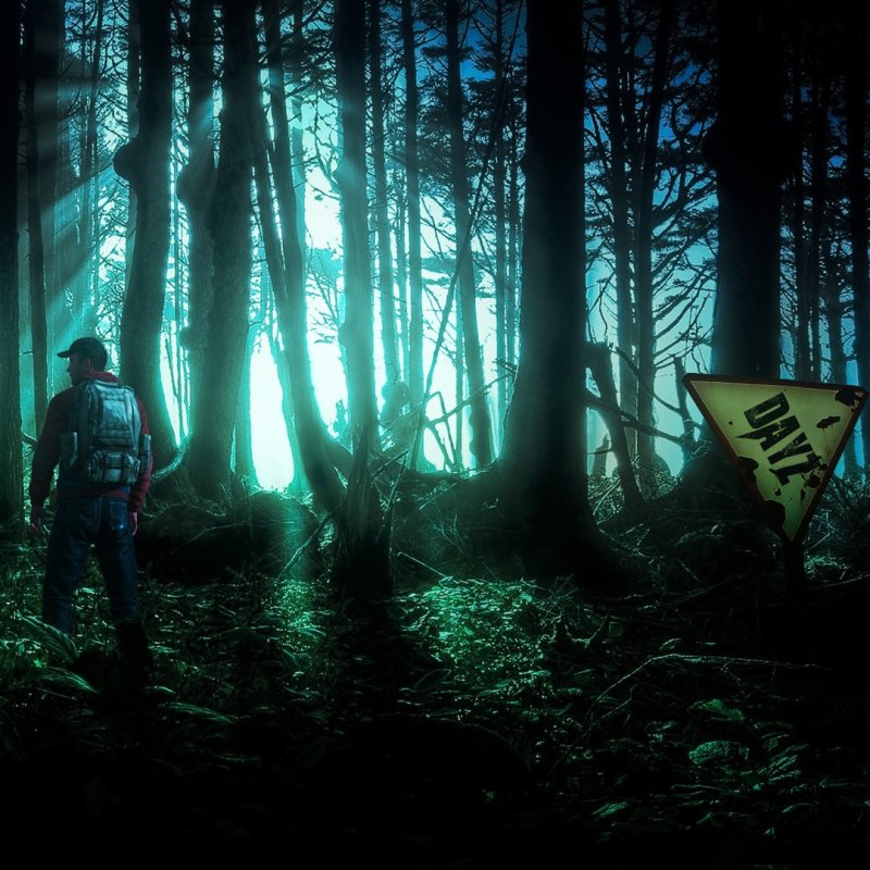 Лес DAYZ 4к