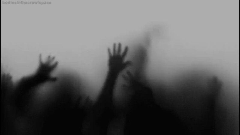 Зомби за запотевшим стеклом