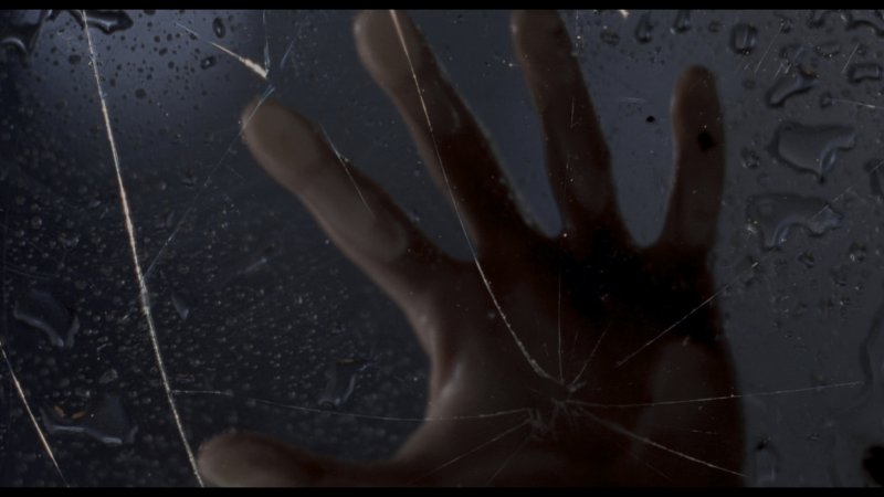 Зомби за запотевшим стеклом