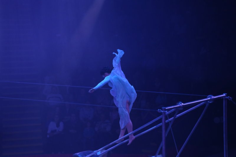 Принцесса цирка 1982