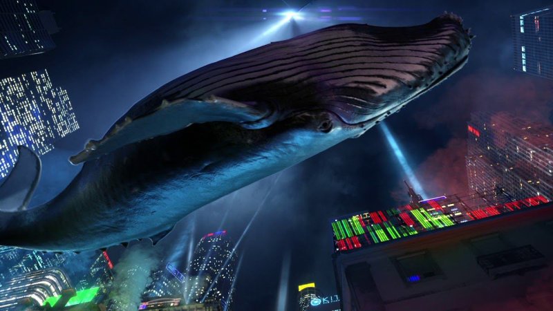 (ГПМ кит, киностудия