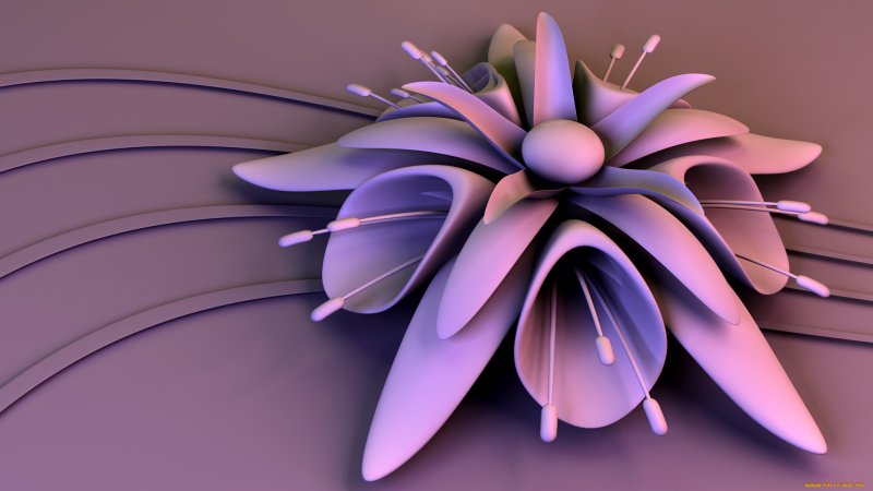 Абстрактные цветы