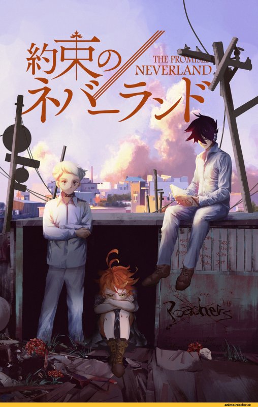 Аниме обещанный Неверленд 1 сезон