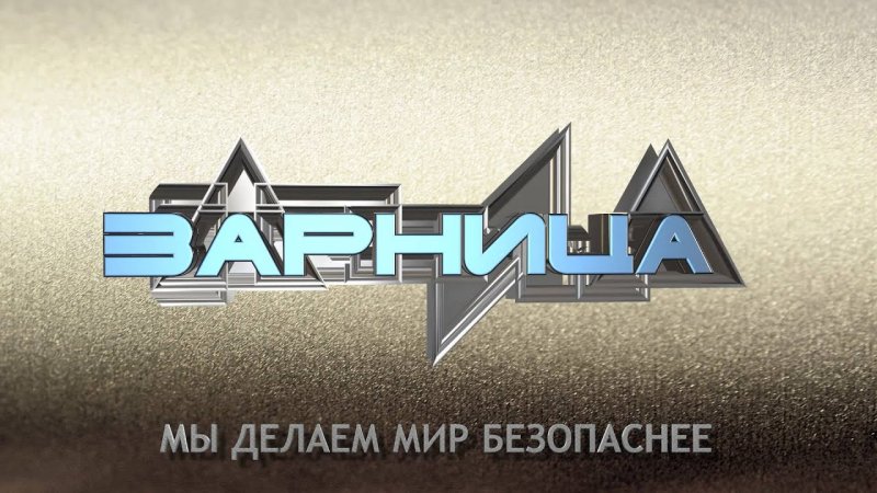 Военно-спортивная игра Зарница логотип
