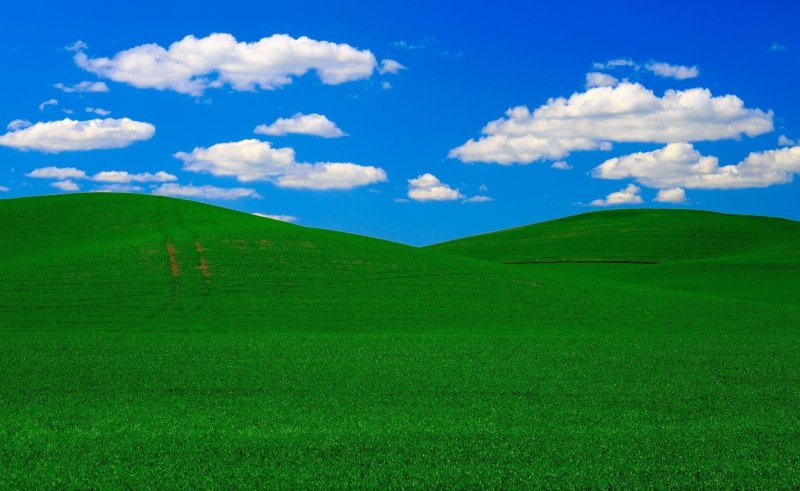 Поле Windows XP