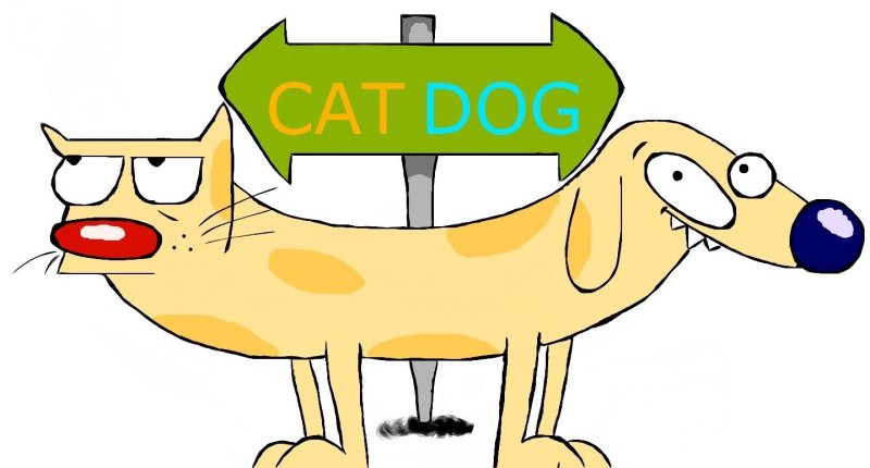 Котопес пес