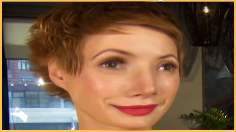 Елена Кристина лебедь аферисты