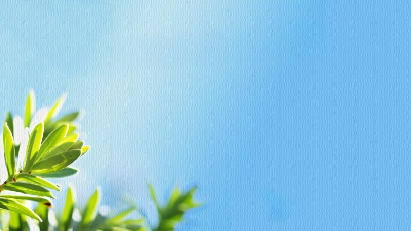 Красивый весенний фон