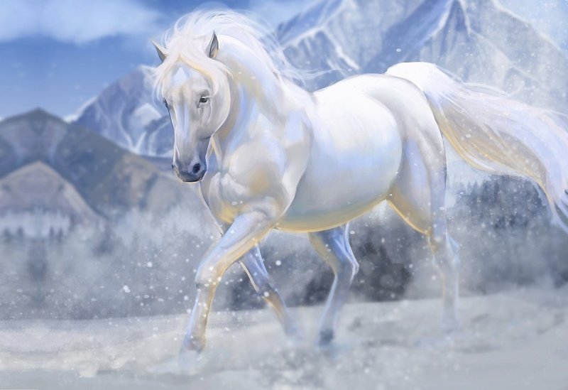 Обои лошади