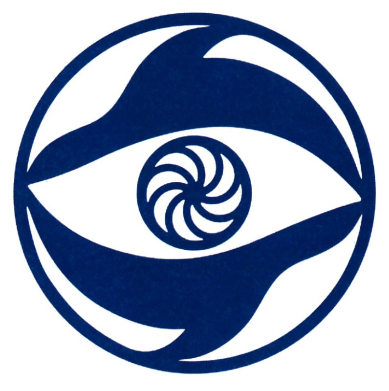 Кит киностудия фильмы