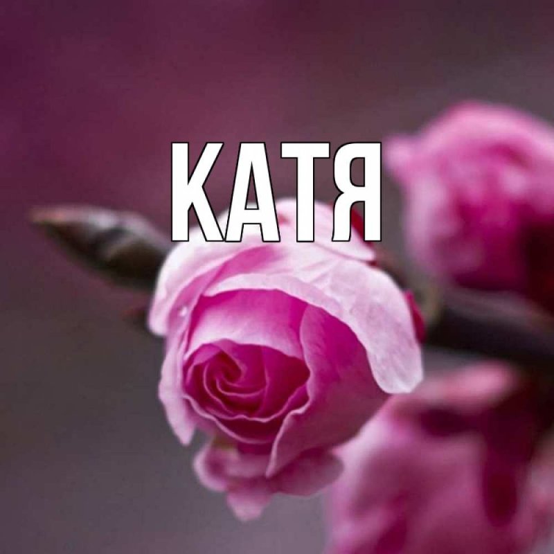 Имя Катя