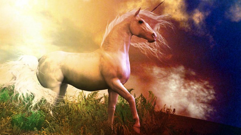 Единорог картинка