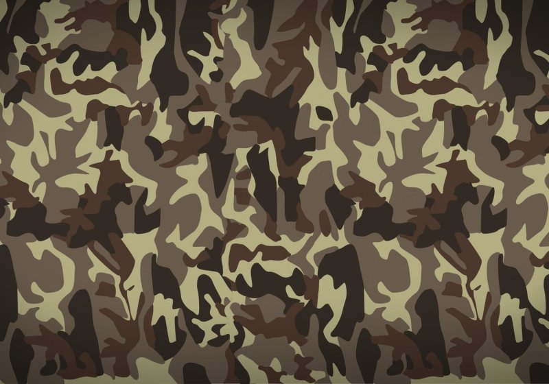 Woodland Camouflage 4r