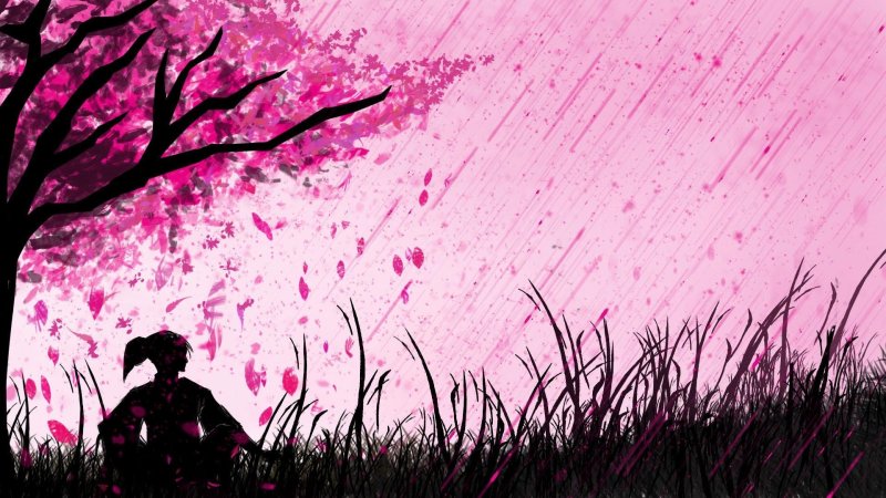 Сакура пхонк