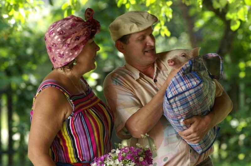 Владимир Зеленский зваты