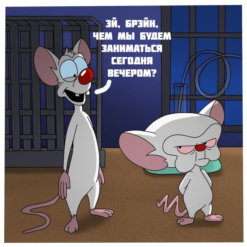 Пинки и Брейн девочка