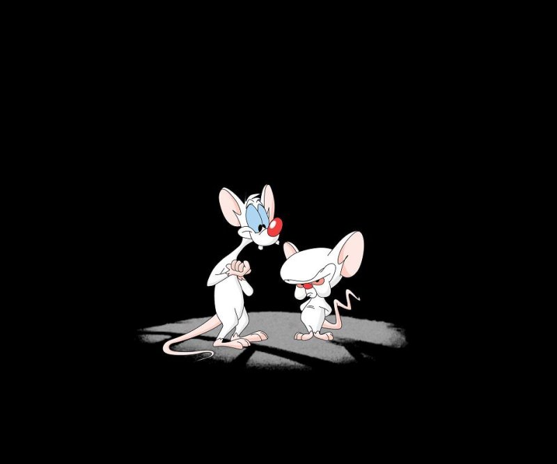 Пинки и Брейн картинки