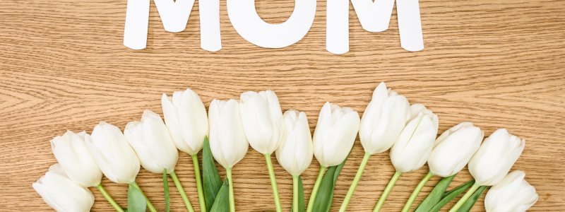 Тюльпаны на белом фоне