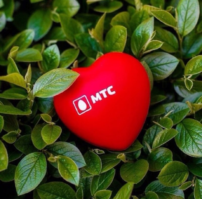 МТС красивые картинки
